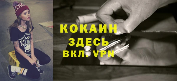 меф Няндома