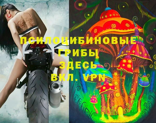 меф Няндома