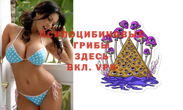 стафф Нягань