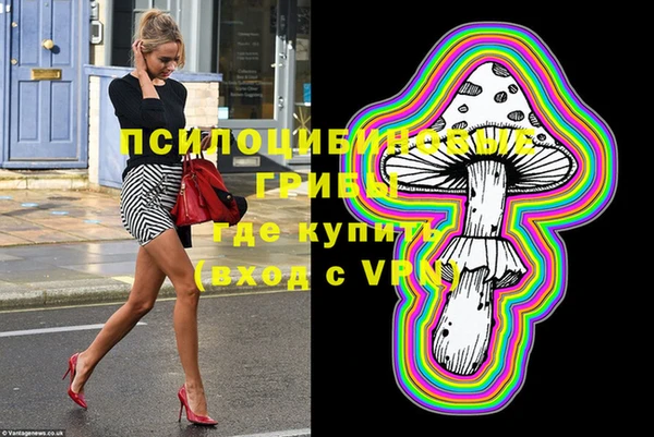 мдпв Нязепетровск