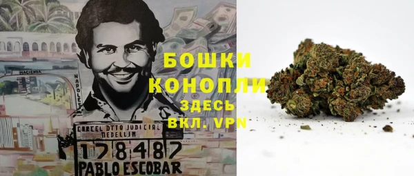 стафф Нягань